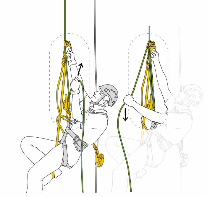 rope-access-petzl-ascent-1.jpg