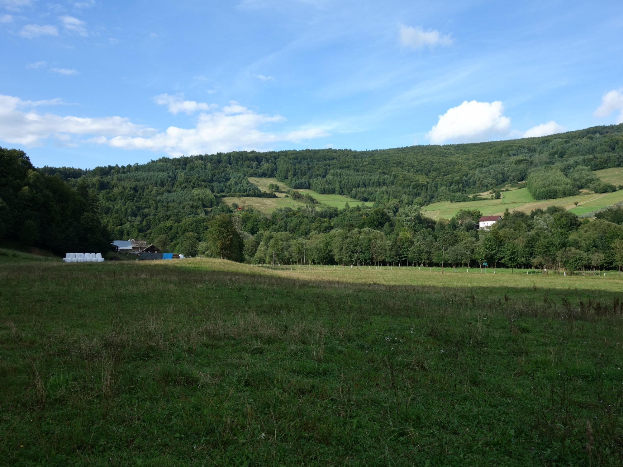 Dolina Wisłoki widziana z okolic Sztolni II.