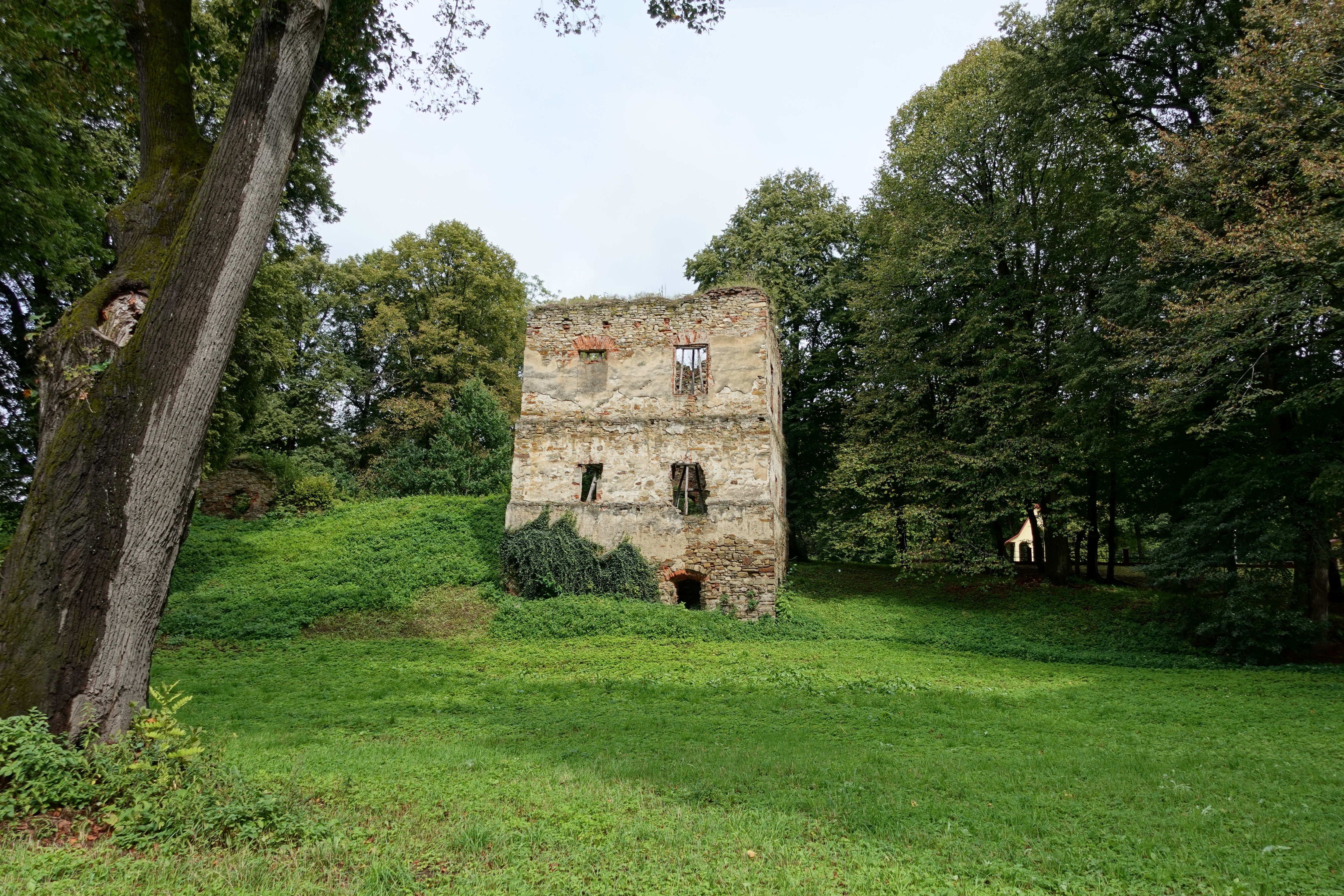 Ruiny zamku widziane z drogi Dynów - Siedliska